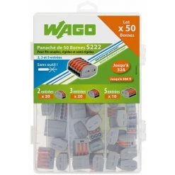 Valisette 50 Bornes Pour Fils Souples Et Rigides WAGO - WAGO
