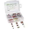 Assortiment De Bornes Pour Boîte De Dérivation WAGO 887-001/2011-1300 Flexible: 1.5-4 Mm² Rigide: 1.5-4 Mm² 125 Parties 1 Assortiment De Bornes Pour Boîte De Dérivation WAGO 887-001/2011-1300 Flexible: 1.5-4 Mm² Rigide: 1.5-4 Mm² 125 Parties -WAGO Soldes Boutique 6210778 1
